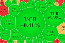 Tiền về blue-chips, VN-Index vượt đỉnh 'nhẹ tênh'