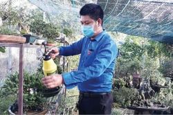 Đời sống Đời sống Vườn hoa cảnh của Quý