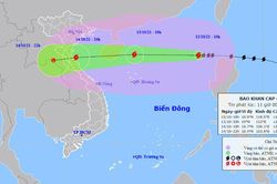 Bão số 8 giật cấp 13 hướng vào Trung Bộ