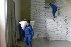 TPHCM đã nhận đủ hơn 56.500 tấn gạo dự trữ