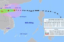 Tin bão khẩn cấp cơn bão số 8
