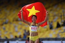 'Thảo bò vàng' trở lại