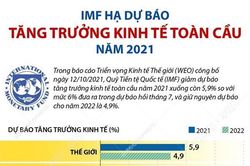IMF hạ dự báo tăng trưởng kinh tế toàn cầu năm 2021