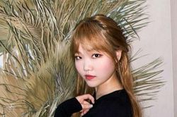 ARMY chân chính lên tiếng khi fan BTS lao vào chê bai ngoại hình nghệ sĩ thần đồng của YG