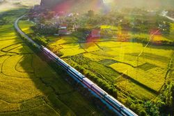 Hai ngày thí điểm, vận tải khách vẫn còn nhiều vướng mắc