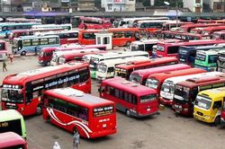 Thí điểm tổ chức hoạt động vận tải hành khách liên tỉnh