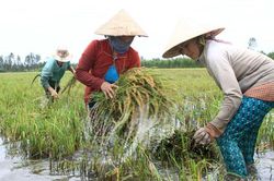 Khởi động Dự án 30 triệu USD về thích ứng với BĐKH