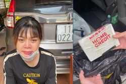 Vận chuyển 2 bánh heroin để nhận công 20 triệu đồng