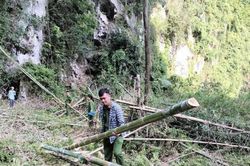 Khởi tố vụ án vườn dược liệu của hộ dân bị san phẳng