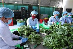 Phát hành sách Điều lệ Liên minh Hợp tác xã Việt Nam khóa VI nhiệm kỳ 2020 - 2025