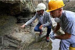 Ý: Bộ xương bị chôn vùi trong vụ phun trào Vesuvius được tìm thấy tại Herculaneum