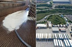 Gẫy chuỗi vận tải, nông dân Anh đổ sữa vứt đi