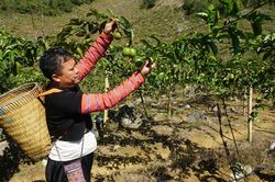 Tăng thu nhập người dân lên hơn gấp đôi