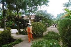 Chủ động kiểm soát dịch sốt xuất huyết