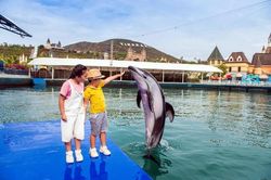 Chuyện 'ngôn tình' đặc biệt dưới lòng đại dương