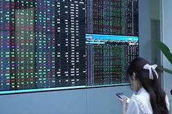 Cổ phiếu dầu khí khởi sắc, Vn-Index tiếp tục tăng