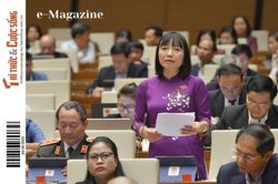 Đại biểu Quốc hội Nguyễn Thị Việt Nga: 'Phụ nữ cần vùng lên…'