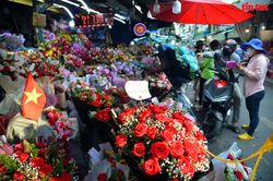 Chợ hoa lớn nhất TP Hồ Chí Minh nhộn nhịp trước ngày 20/10