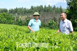 Tìm nguồn kết nạp Đảng ở Cầu Bâm