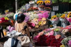Hà Nội: Chợ hoa, hàng hoa tấp nập trong ngày 20/10