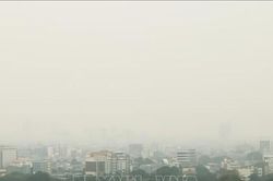 Indonesia kêu gọi tài trợ giảm khí thải