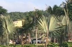 Hỗn chiến trên phố Đồ Sơn, Hải Phòng khiến một người chết, 2 người bị thương