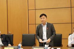 Đề xuất thu hẹp phạm vi xử phạt hành chính trong lĩnh vực sở hữu trí tuệ