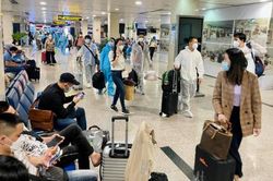 Các hãng bay tăng chuyến, giá vé giảm cả triệu đồng