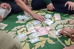 Nghệ An: Triệt phá sới bạc trên đồi keo, bắt giữ 20 đối tượng