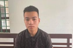 Bắt nam thanh niên gây ra 7 vụ trộm cắp tài sản