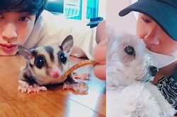 Fan ghen 'chết mất' khi Jin BTS coi thú cưng như 'bạn đời'