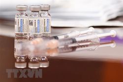 APEC thúc đẩy nỗ lực sản xuất, chia sẻ vaccine COVID-19 toàn cầu