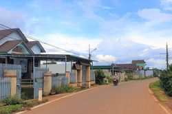 Làng Tày ơn Đảng, ơn Bác