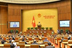 Lo ngại đất rừng 'teo tóp' khi áp dụng cơ chế đặc thù cho Thanh Hóa, Nghệ An