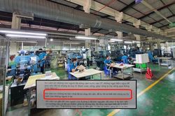 Bức thư cảm ơn của một công ty với nội dung 'cảm ơn những kẻ hèn nhát bỏ chạy khi cần' gây tranh cãi