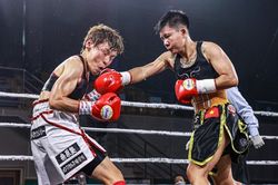 Nhà vô địch Trần Văn Thảo: 'Thu Nhi đã đánh quả cảm để giành đai WBO'