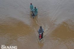 Lũ tràn bờ sông Yên và Cẩm Lệ, nhiều hồ chứa nhỏ đầy nước