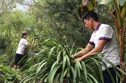 Chi bộ thôn Can Hồ Mông lãnh đạo Nhân dân thoát nghèo