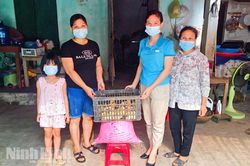Phụ nữ Nho Quan với phong trào thi đua 'Dân vận khéo'