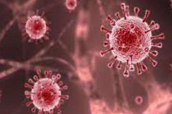 Vaccine có thể làm giảm tỷ lệ tử vong do biến thể Delta tới 90%