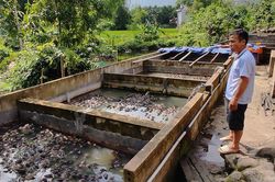 Lão nông thoát nghèo nhờ đổi mới tư duy