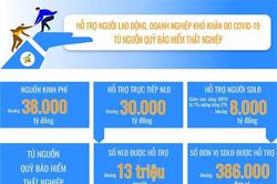 475 trường hợp tự nguyện không nhận hỗ trợ từ quỹ bảo hiểm thất nghiệp