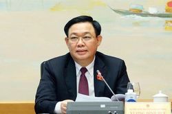 Chủ tịch Quốc hội: 'Không có bảo hiểm giống như đi cầu thang mà không có tay vịn'