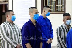 Xét xử con nuôi Nguyễn Xuân Đường và 5 bị cáo về tội 'Cố ý gây thương tích'