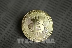 Gần 16% người Singapore trưởng thành sở hữu ít nhất một đồng tiền số