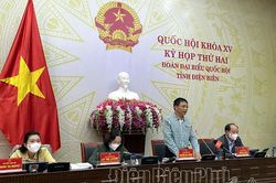 ĐBQH tỉnh Điện Biên tham gia ý kiến vào Dự thảo Luật Kinh doanh bảo hiểm (sửa đổi)