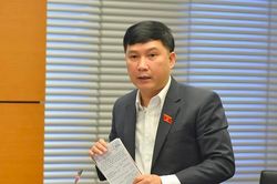 Không nên thu hẹp phạm vi xử phạt hành chính hành vi xâm phạm quyền sở hữu trí tuệ