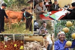 Phấn đấu 50% số xã, thôn ra khỏi địa bàn đặc biệt khó khăn