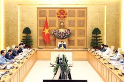 Nắm bắt tình hình, theo sát diễn biến, điều hành giá theo đúng quy định của pháp luật