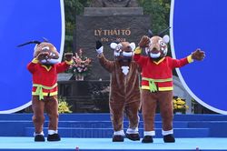 Bộ Chính trị đồng ý lùi tổ chức SEA Games 31 sang tháng 5/2022, không tổ chức ASEAN Para Games 11